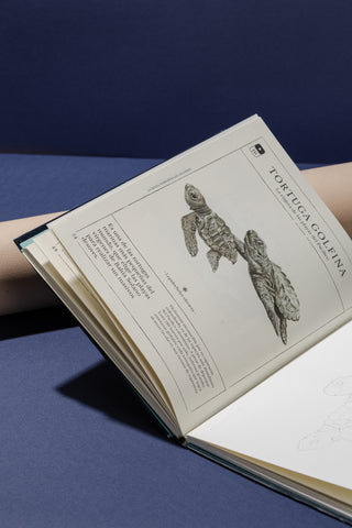 Bottibook sin kit