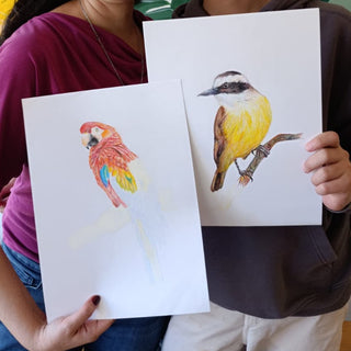 Taller aves en lápices de colores y brunch